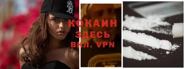 индика Алексеевка