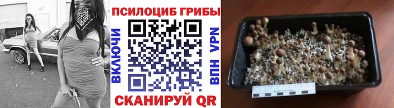 Галлюциногенные грибы мухоморы  Шумиха 
